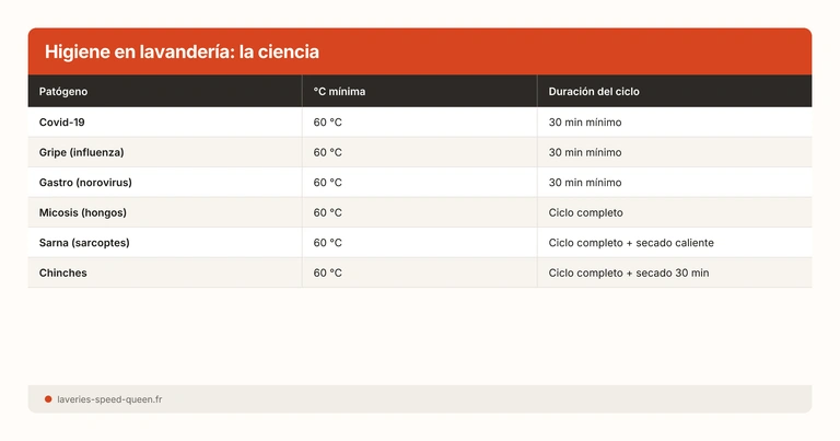 Higiene en lavandería: la ciencia