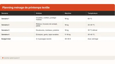 Grand ménage de printemps : la checklist lessive complète