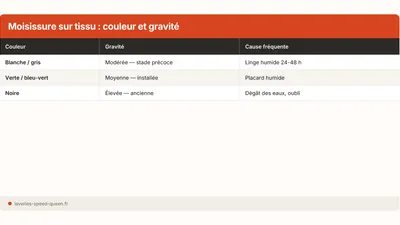 Enlever une tache de moisissure sur du tissu