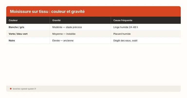 Moisissure sur tissu : couleur et gravité