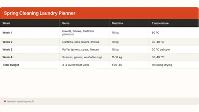 Spring Cleaning Laundry Checklist: The Complete Guide